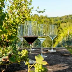 Schott Zwiesel Pure Red And White Wine Glasses Boxed Set 6+2 Free -Home Kitchen Shop 0026120404 a2