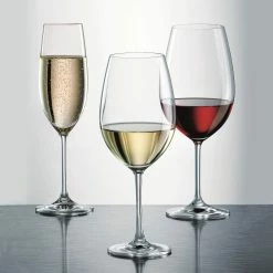 Schott Zwiesel Tritan Ivento Champagne, Single -Home Kitchen Shop 0027115590 a2