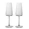 Villeroy And Boch MetroChic Champagne Flute Glasses, Pair