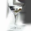 Cashs Crystal Cashs Ireland, Cooper Martini Glass, 1+1 Free