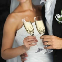 Cashs Crystal Cashs Ireland Annestown Champagne Toasting Flutes, Pair -Home Kitchen Shop 24689C a3