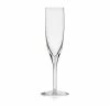 Steuben Century Champagne Glass, Single