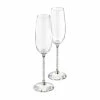 Swarovski Crystalline Toasting Flutes Pair