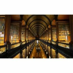 Cashs Crystal Cashs Ireland, 2023 Celtic Christmas Tree Dated Ornament 7 Cashs Crystal Cashs Ireland, 2023 Celtic Christmas Tree Dated Ornament -Home Kitchen Shop 25728C a5