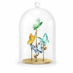 Swarovski Crystal Swarovski Jungle Beats, Bell Jar Butterfly