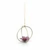 Swarovski Crystal Swarovski Garden Tales, Ball Ornament Hibiscus Large